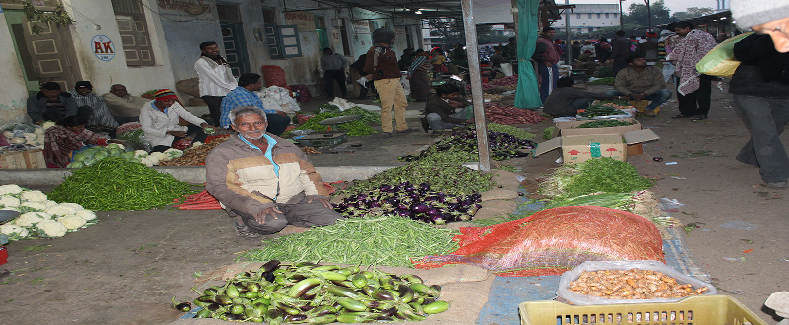 Vegetable Market - 3