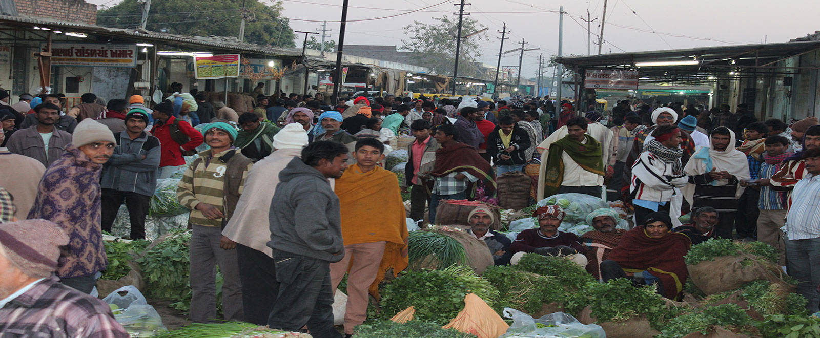 Vegetable Market - 4