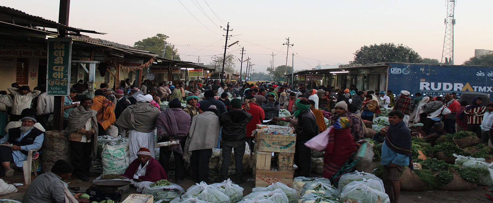 Vegetable Market - 5